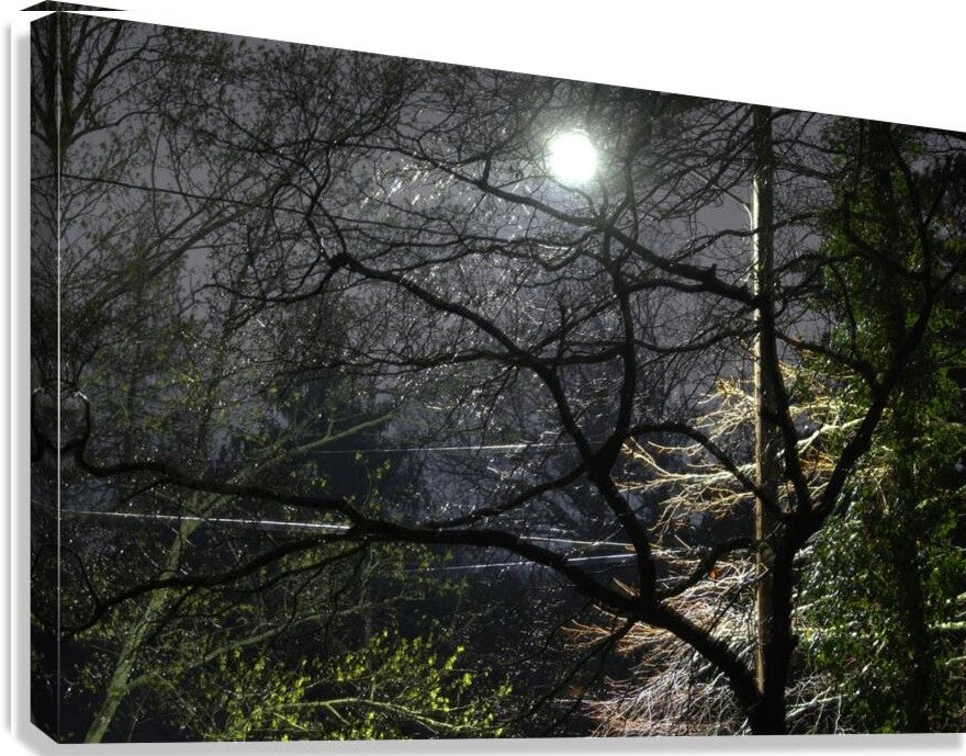 Night Life Wall Picture Frames | BR Fashions LLC