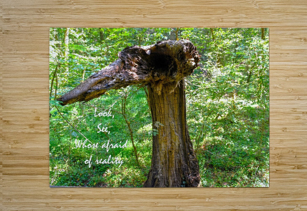 Wall Picture Frames | Look See Collection - BR Fashions LLC