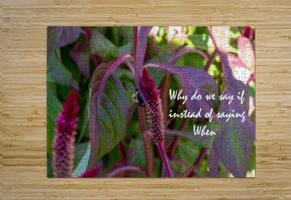 Wall Picture Frames - Why Do | BR Fashions LLC