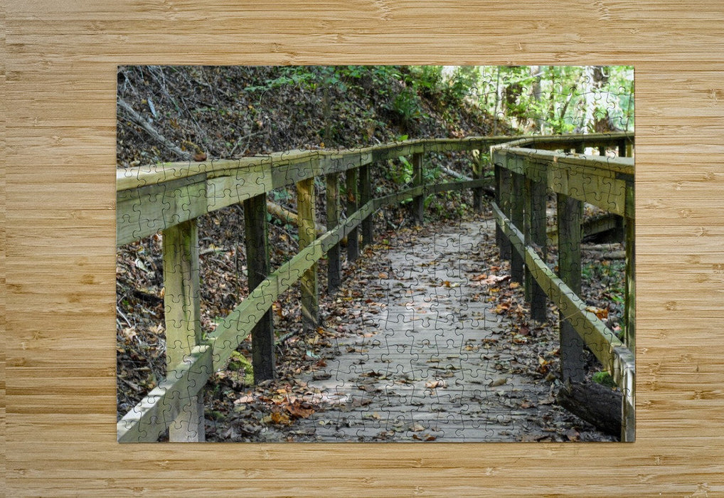 Wall Picture Frames | The Trail of Life – BR Fashions LLC