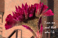 2262515 :: Giclée Rolled Canvas Print
