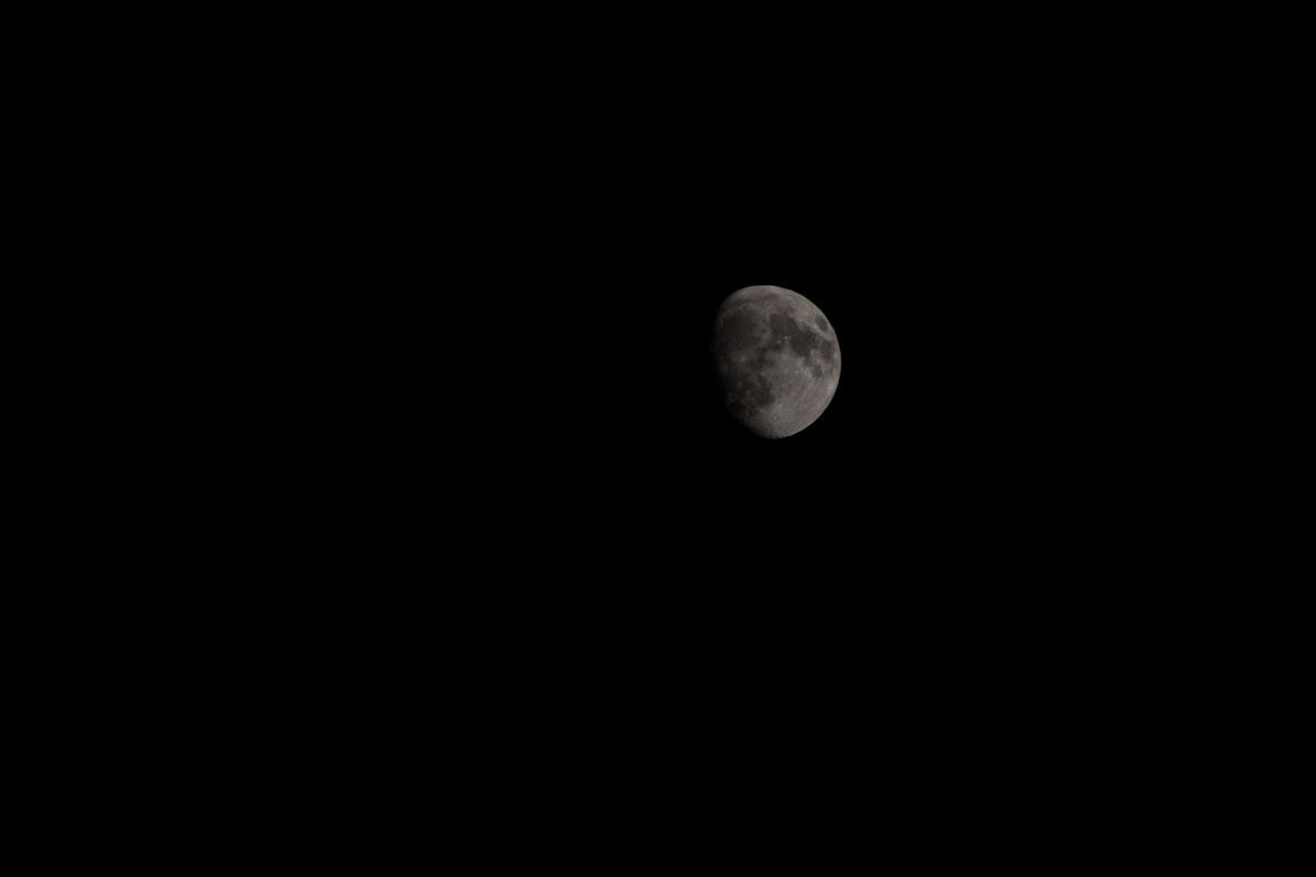 2262523 :: Giclée Rolled Canvas Print