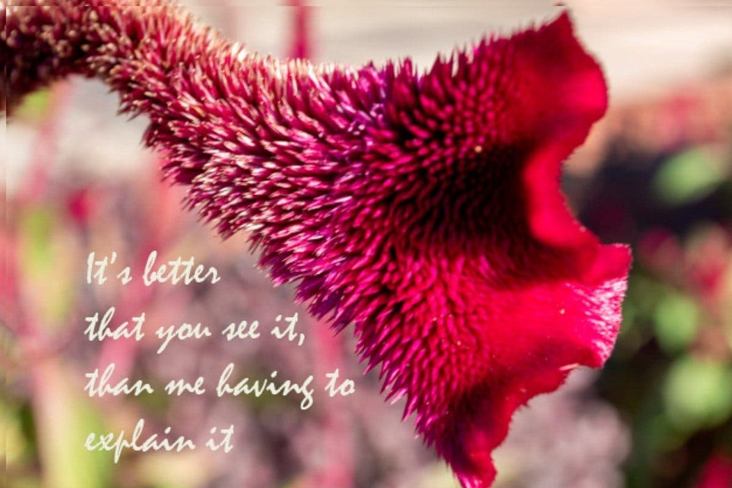 It's Better