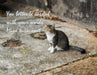 2262521 :: Giclée Fine Art Matte Paper Print