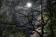 2262529 :: Giclée Fine Art Matte Paper Print