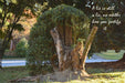 2262506 :: Giclée Fine Art Matte Paper Print