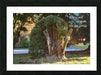 A Lie - wall picture frames