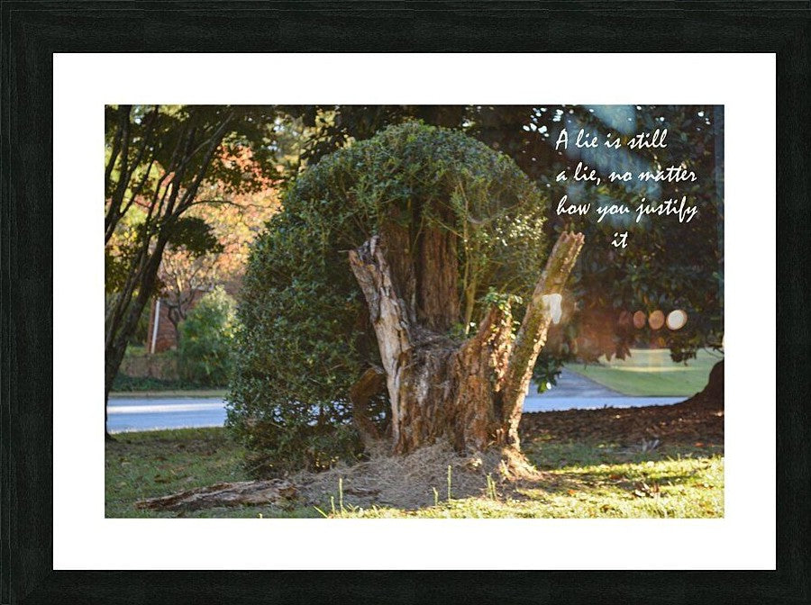 A Lie - wall picture frames