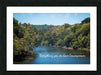 Everything wall picture frames