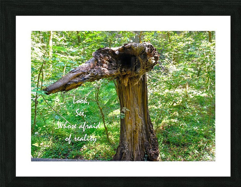 Wall Picture Frames | Look See Collection - BR Fashions LLC