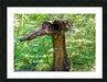 Wall Picture Frames | Look See Collection - BR Fashions LLC