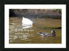 Wall Picture Frames - Shop Unique Styles at BR Fashions LLC