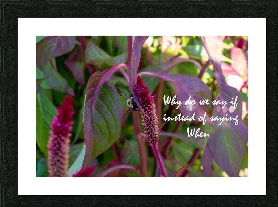 Wall Picture Frames - Why Do | BR Fashions LLC
