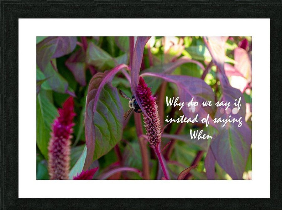 Wall Picture Frames - Why Do | BR Fashions LLC