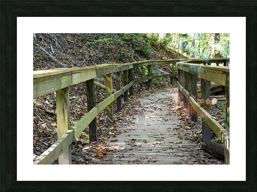 Wall Picture Frames | The Trail of Life – BR Fashions LLC