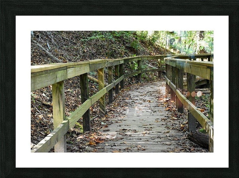Wall Picture Frames | The Trail of Life – BR Fashions LLC