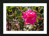 True Happiness Wall Picture Frames - BR Fashions LLC