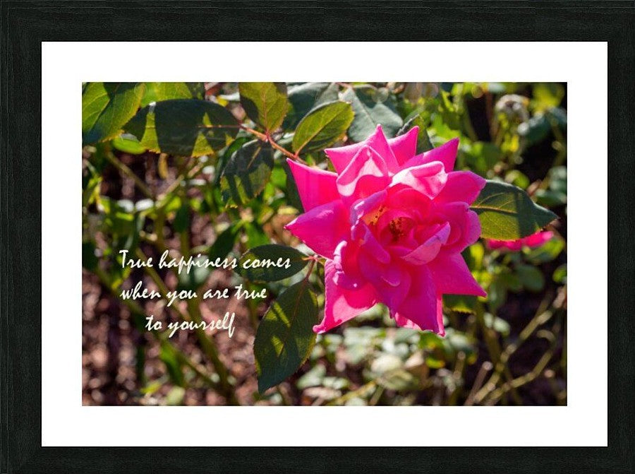 True Happiness Wall Picture Frames - BR Fashions LLC
