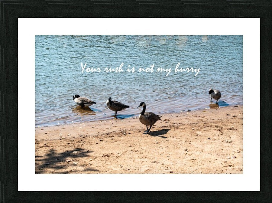 Wall Picture Frames | Your Rush - BR Fashions LLC