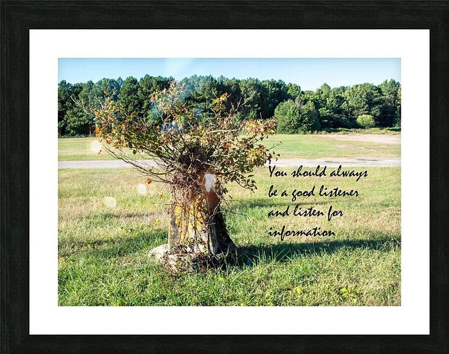 Wall Picture Frames | BR Fashions LLC