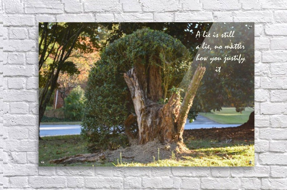 A Lie - wall picture frames