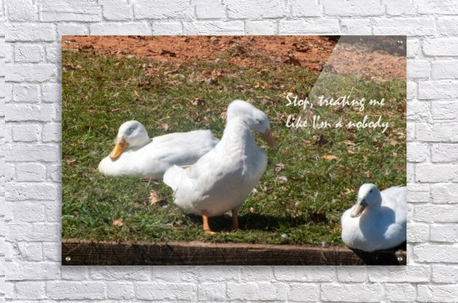 2262508 :: Acrylic Print