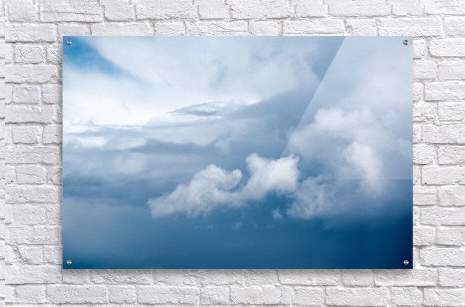 2262511 :: Acrylic Print