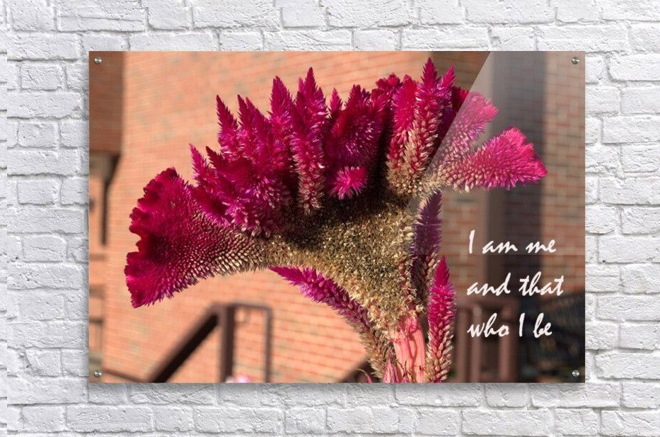 I Am Wall picture frames