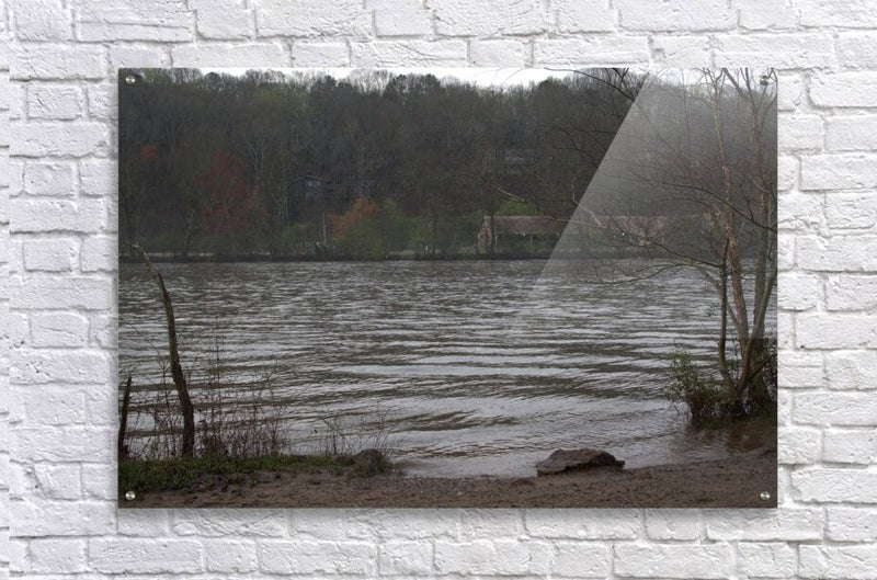2262516 :: Acrylic Print