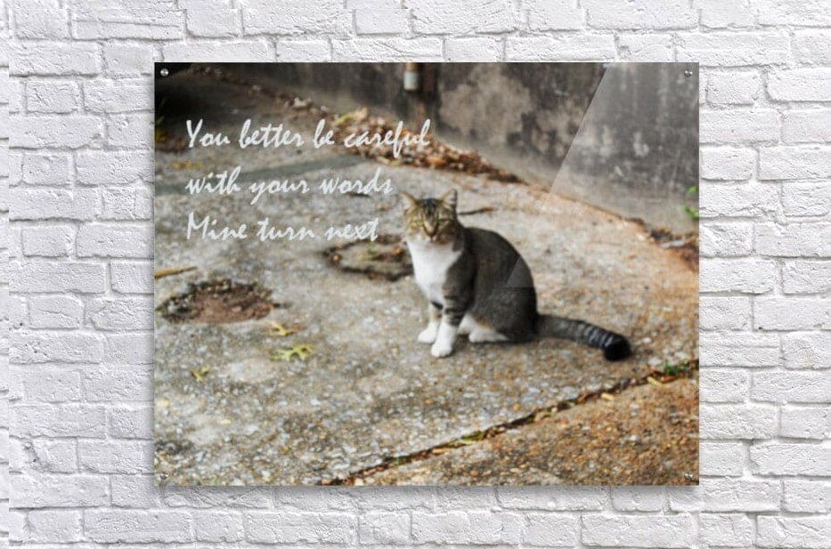 Wall Picture Frames | My Turn - BR Fashions LLC