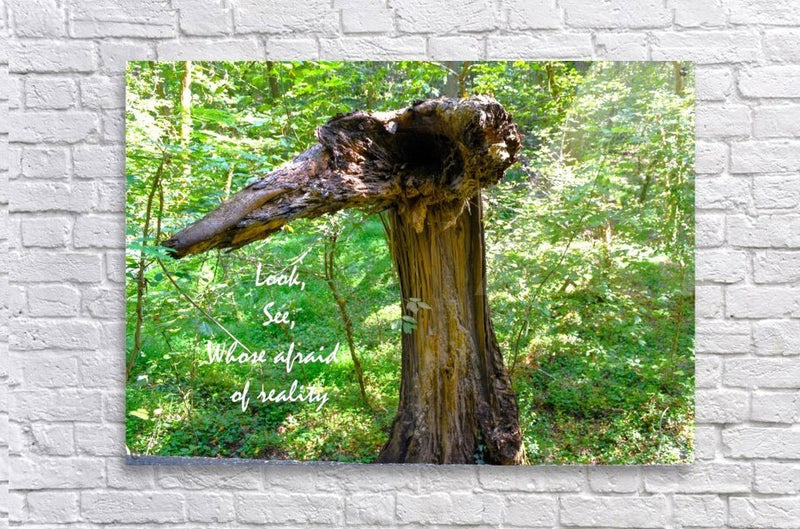 Wall Picture Frames | Look See Collection - BR Fashions LLC