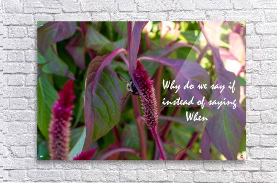 Wall Picture Frames - Why Do | BR Fashions LLC
