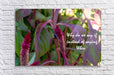 Wall Picture Frames - Why Do | BR Fashions LLC