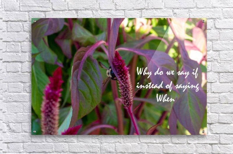Wall Picture Frames - Why Do | BR Fashions LLC