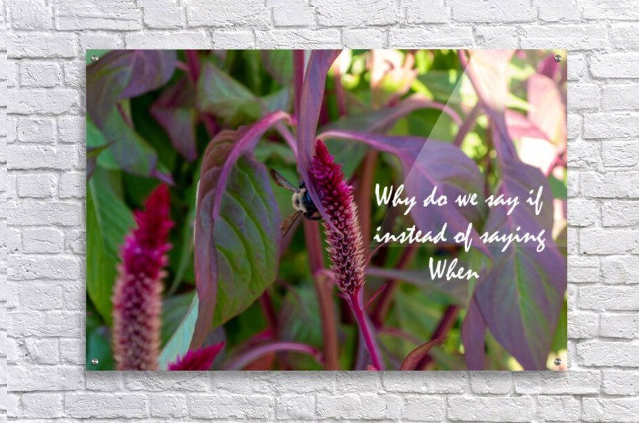 Wall Picture Frames - Why Do | BR Fashions LLC