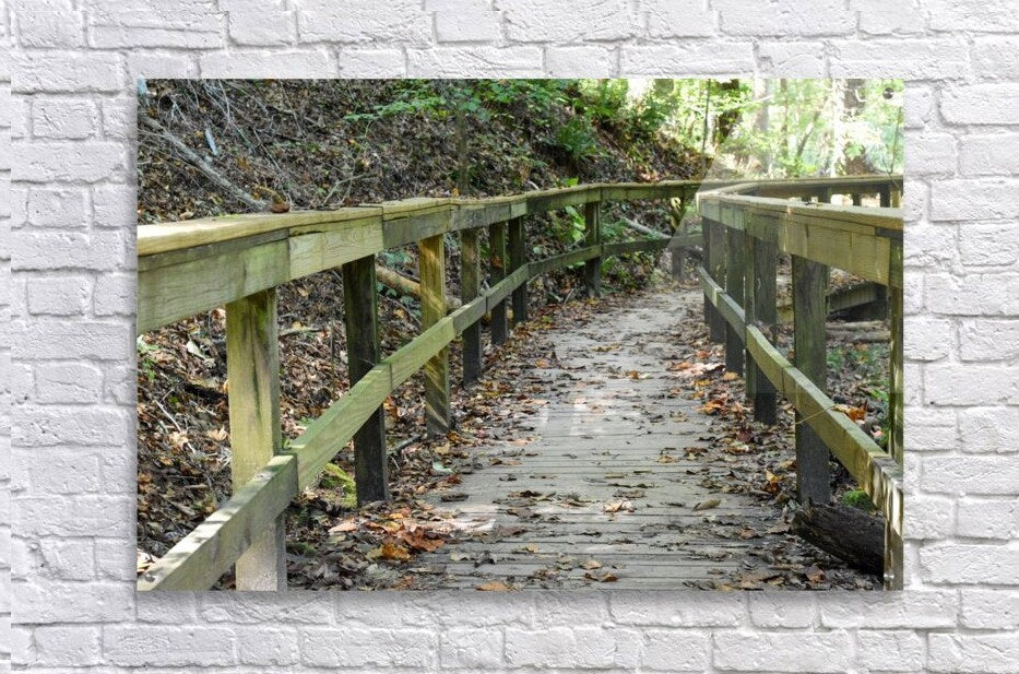 Wall Picture Frames | The Trail of Life – BR Fashions LLC
