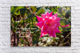 True Happiness Wall Picture Frames - BR Fashions LLC