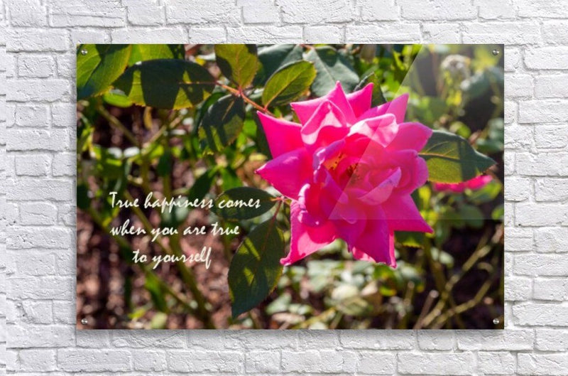 True Happiness Wall Picture Frames - BR Fashions LLC