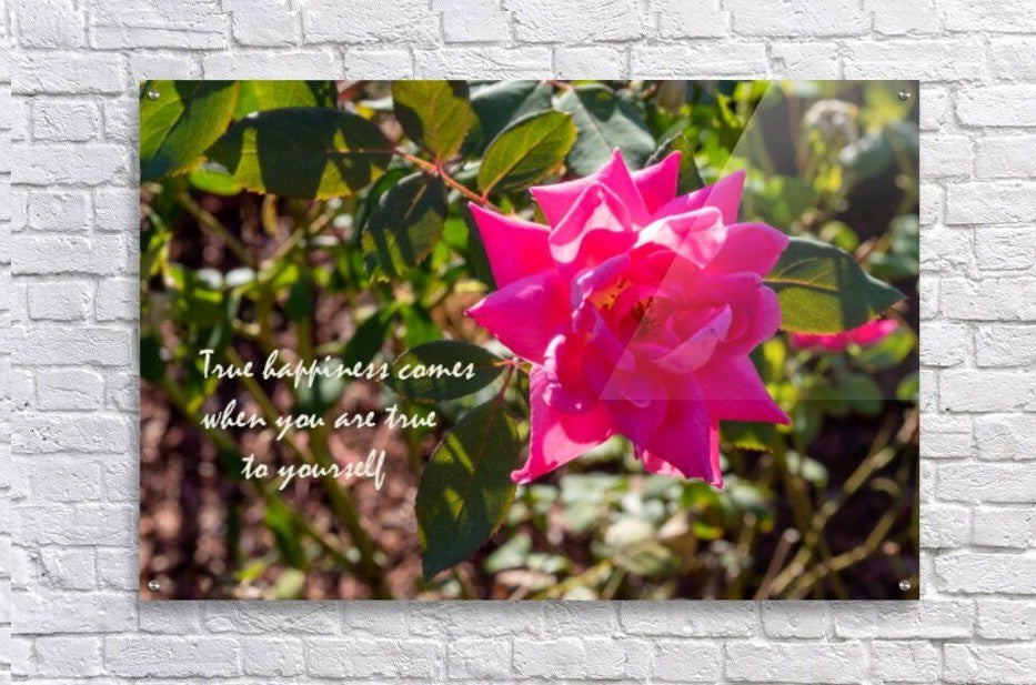 True Happiness Wall Picture Frames - BR Fashions LLC
