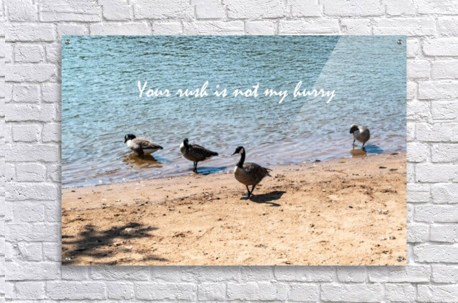 Wall Picture Frames | Your Rush - BR Fashions LLC