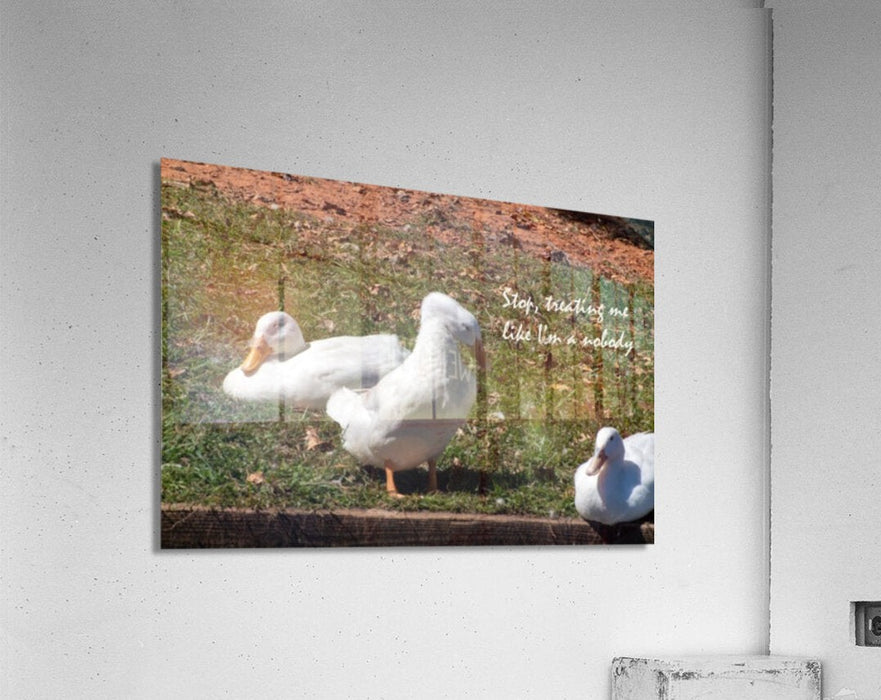 2262508 :: Acrylic Print