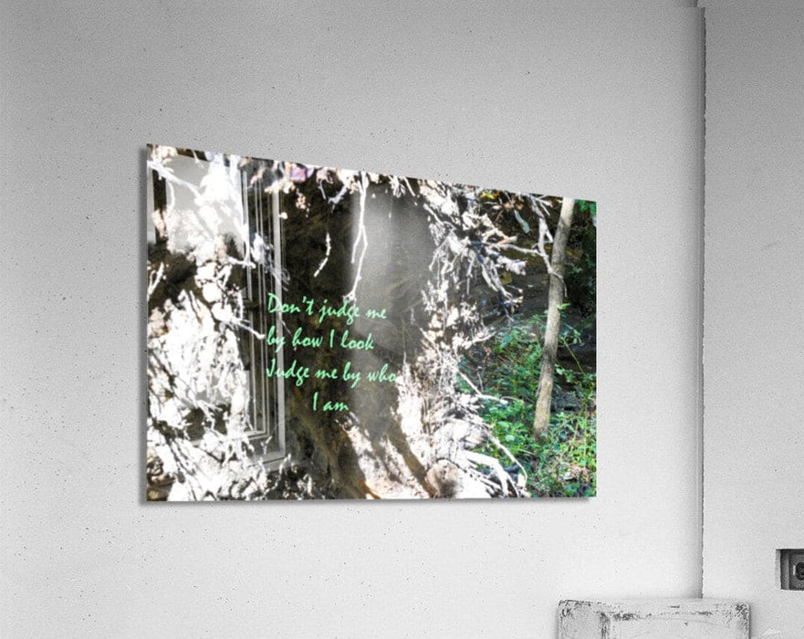 2262510 :: Acrylic Print