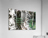 2262510 :: Acrylic Print