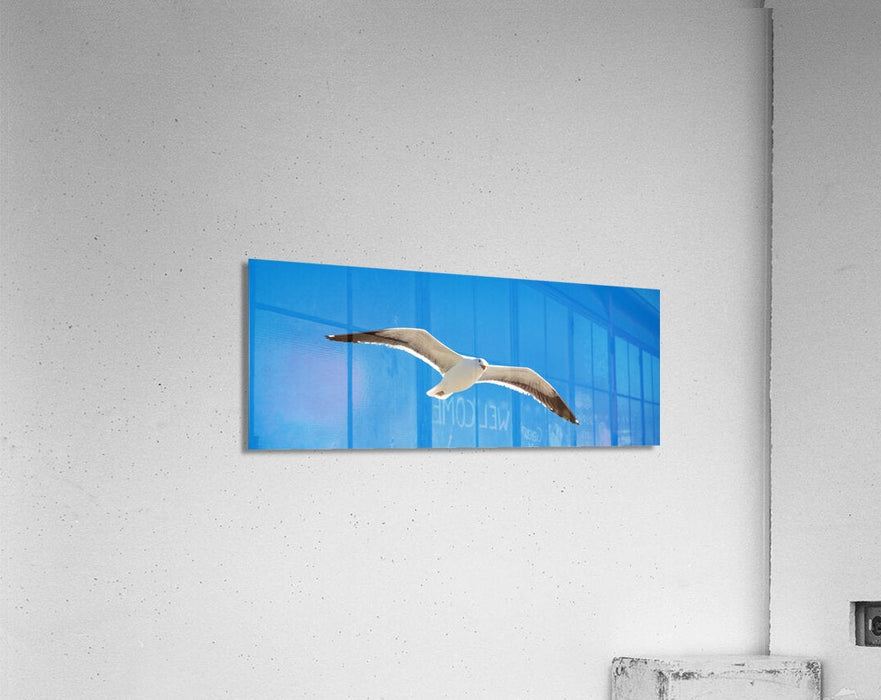 2262513 :: Acrylic Print