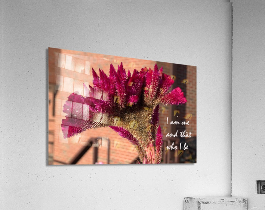 2262515 :: Acrylic Print