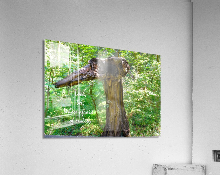 Wall Picture Frames | Look See Collection - BR Fashions LLC