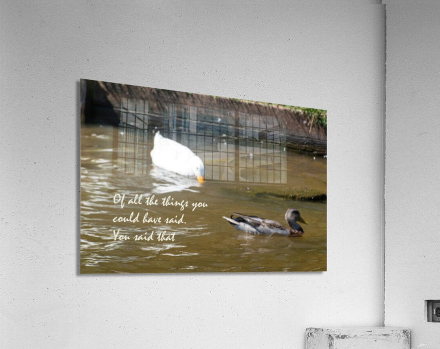 2262528 :: Acrylic Print