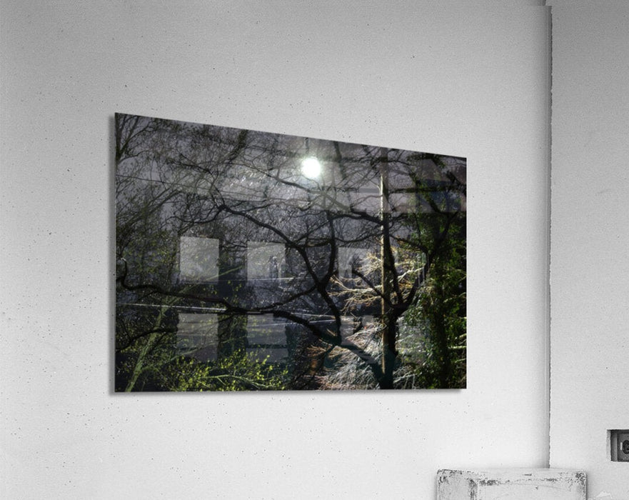 2262529 :: Acrylic Print