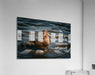 Wall Picture Frames - See If You Like It | BR Fashions LLC