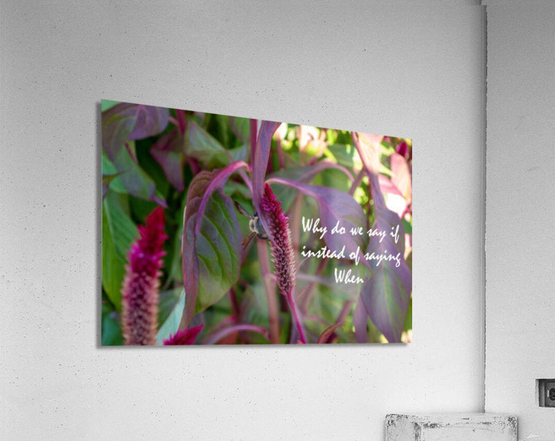 Wall Picture Frames - Why Do | BR Fashions LLC